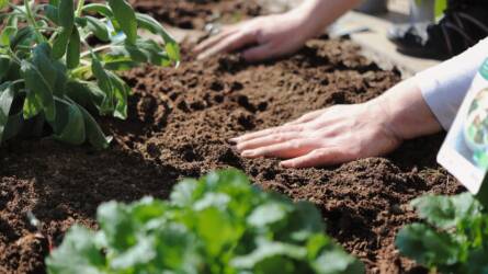 Miért fontos, hogy ismerjük a talajunkat?