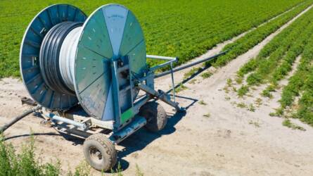 A szántóföldi zöldségtermesztés öntözés nélkül elképzelhetetlen – a Bauer öntözőrendszerei adják a megoldást Solton