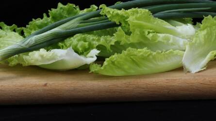 A római saláta népszerűsége hamarosan a jégsalátáét is felülmúlja majd