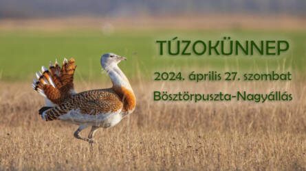 TÚZOKÜNNEP 2024