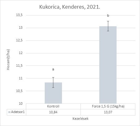 Drótféreg kártételének vizsgálata