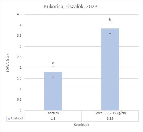 Kukoricabogár-lárva kártételének vizsgálata