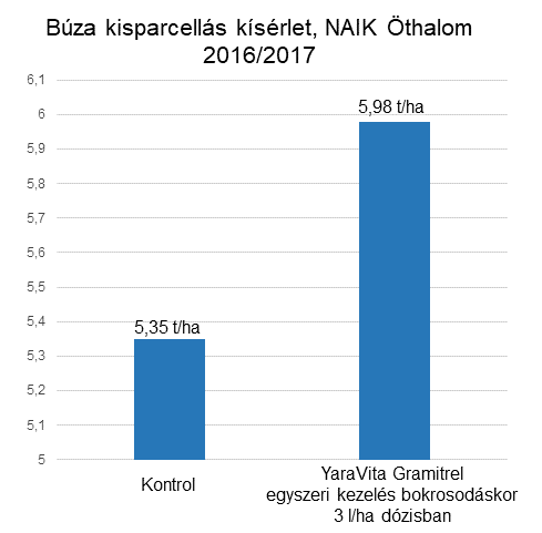 Búza kisparcellás kísérlet