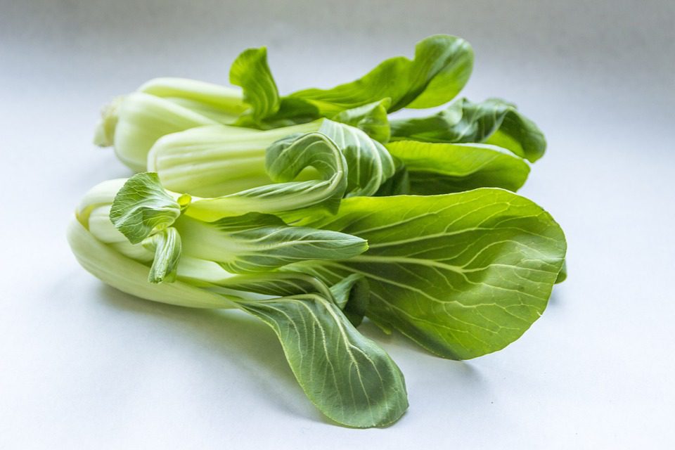 Pak choi