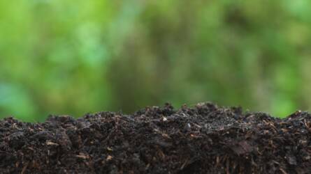 Teljeskörű talajfertőtlenítés: piretroid rovarölő granulátum