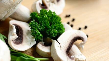 Frissen szedett gombából készíthető kalóriaszegény finomságok