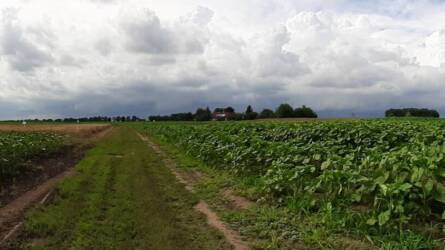 A FMC-Agro növényvédelmi kísérletei