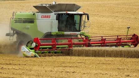 Remek hírek érkeznek a szántóföldekről, az árpától a kukoricáig biztatóak az állományok