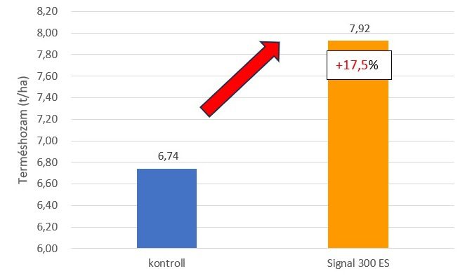 Signal kezelés hatása a termésátlagra. Szeged 2021. GK Bagó