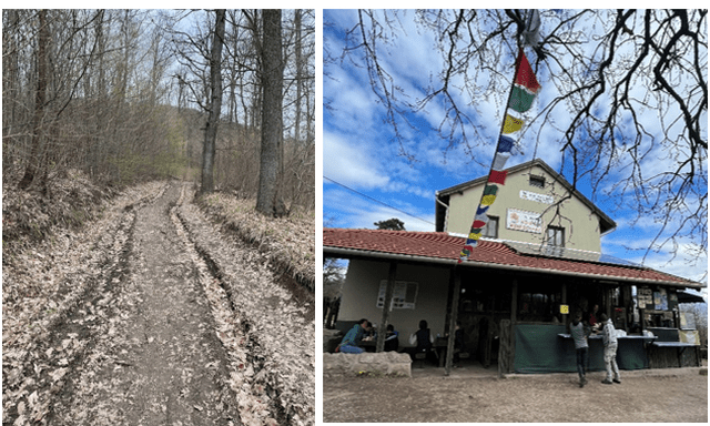 4. ábra: Kék kereszt jelzésű turistaútvonal (Bükkös-patak-völgye–Lajos-forrás–Zengő-völgy); Czibulka János Kőhegyi Menedékház