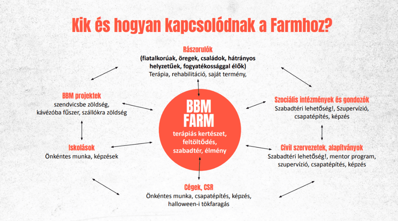 A BBM Farm és a kapcsolódó szervezetek, személyek hálója