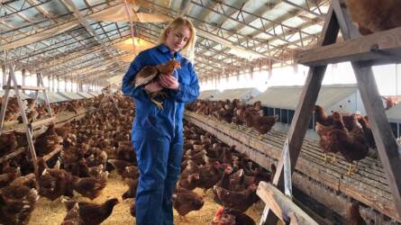 Közepesen alakult a július az agrárcégeknek a tőzsdén