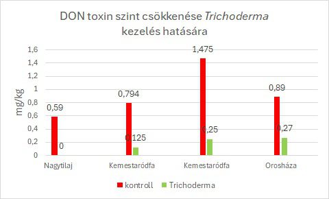 Korábbi kísérletekben a Trichoderma már sokszor bizonyított Fusarium toxinokkal szemben