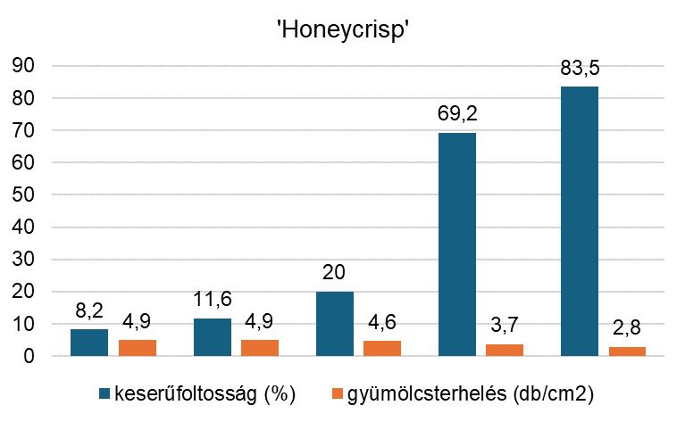 2. ábra: A tárolási rendellenesség és a gyümölcs-berakódottság kapcsolata ’Honeycrisp’ almafajta gyümölcseiben (Forrás: Good Fruit Grower)