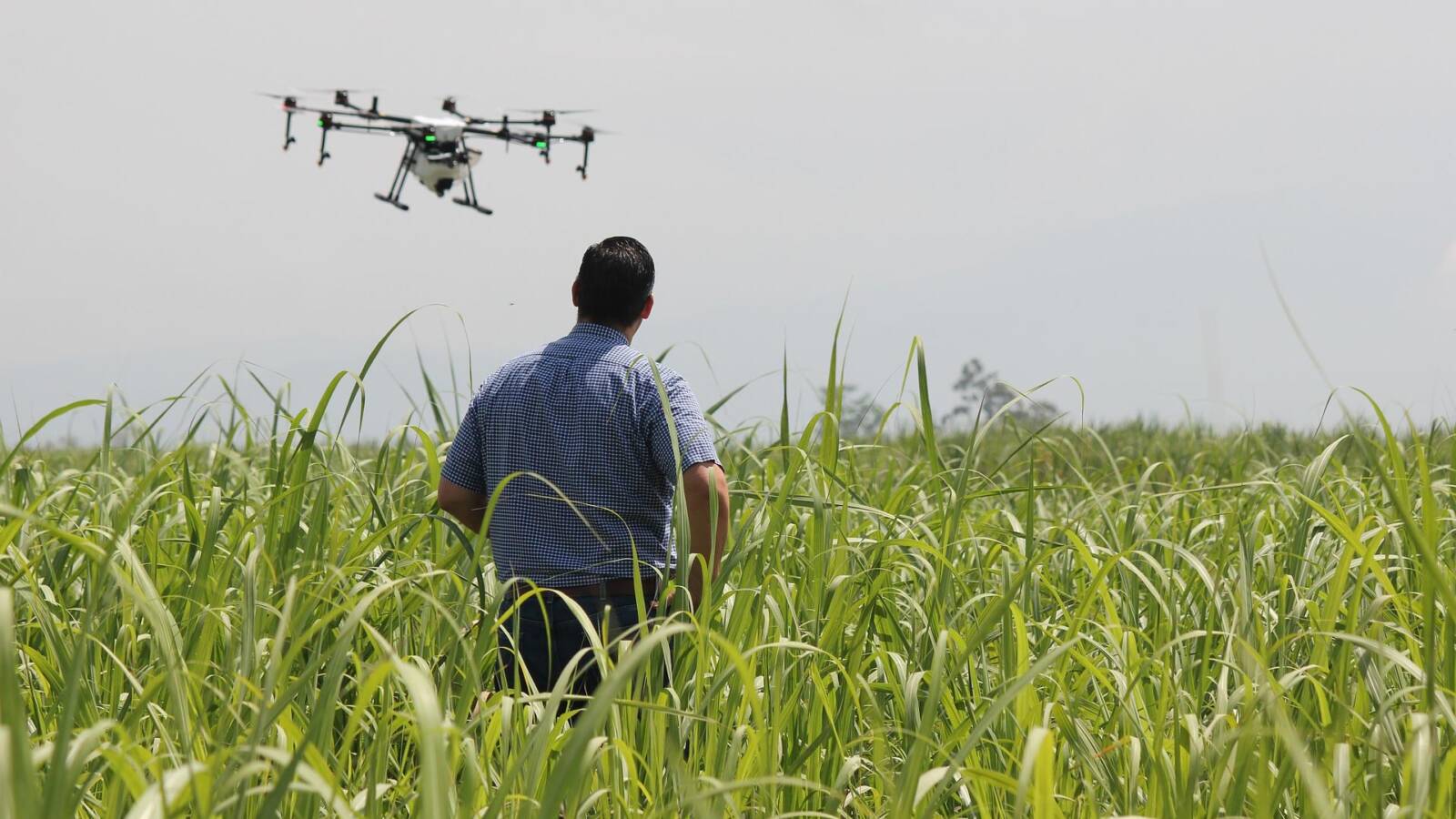 A csúcstechnológia, mesterséges intelligencia, GPS és a drónok is a mezőgazdaságot segítik