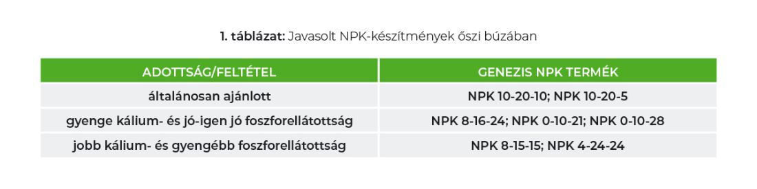 Javasolt NPK-készítmények őszi búzában