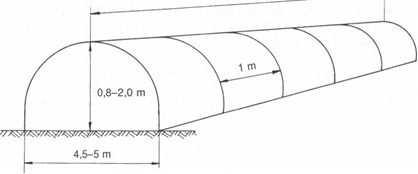 4,5-5 méter széles és 1,8-2,0 méter magas légterű fóliasátor, a fólia eltávolítása (leszedése) nélküli is lehetővé teszi az ápolási és szedési munkákat