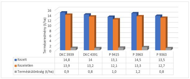 Kukorica kísérleti eredmények Nyíregyháza-Gyulatanya 2024