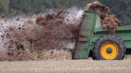 Greenpeace vs. holland gazdák: 1–0