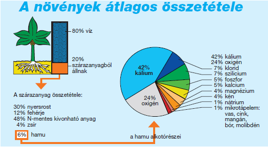 Növényi hamu összetétele