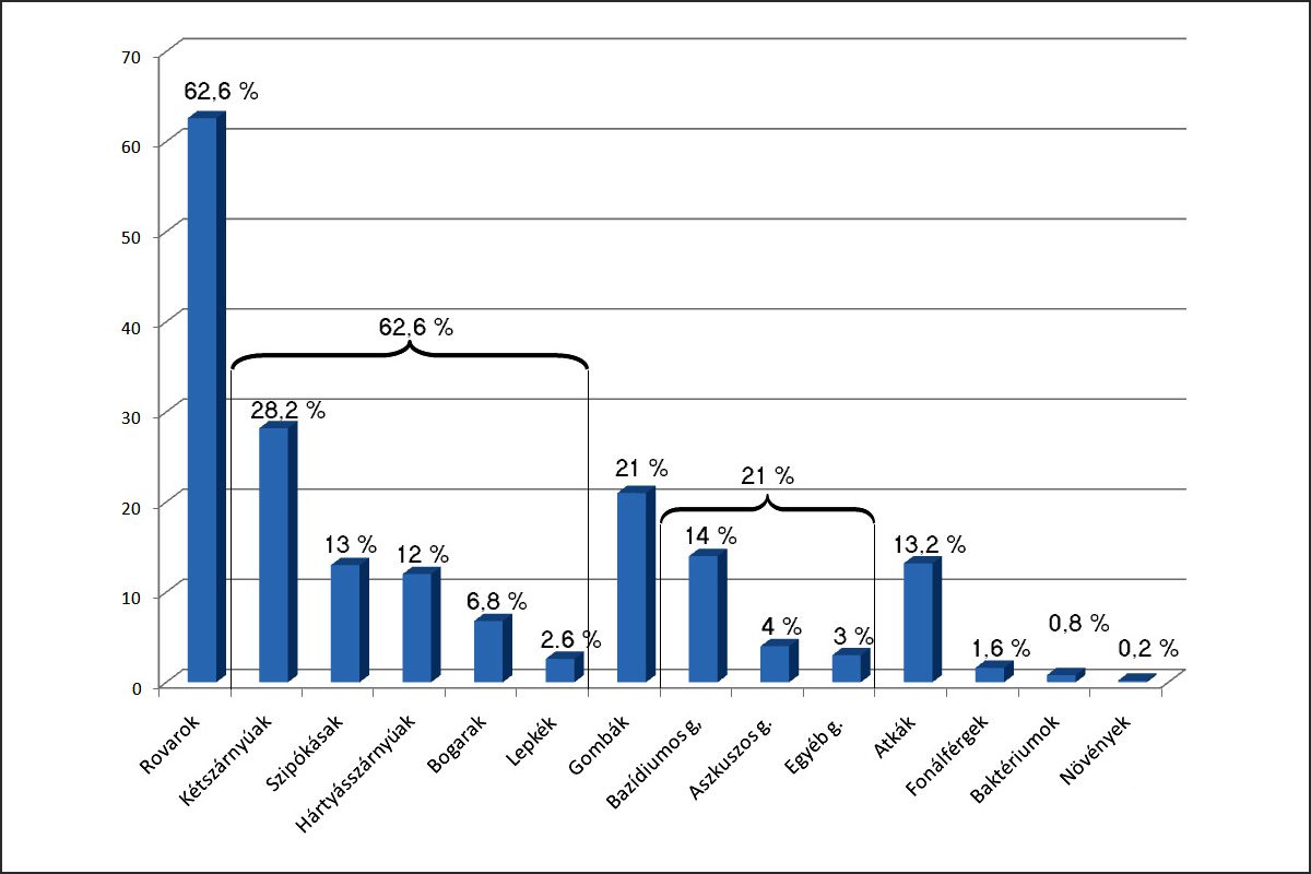 Az európai gubacsokozók egyes csoportjainak arányai az összes %-ában