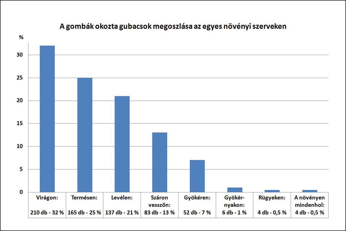 A gombák okozta gubacsok megoszlása az egyes növényi szerveken Európában