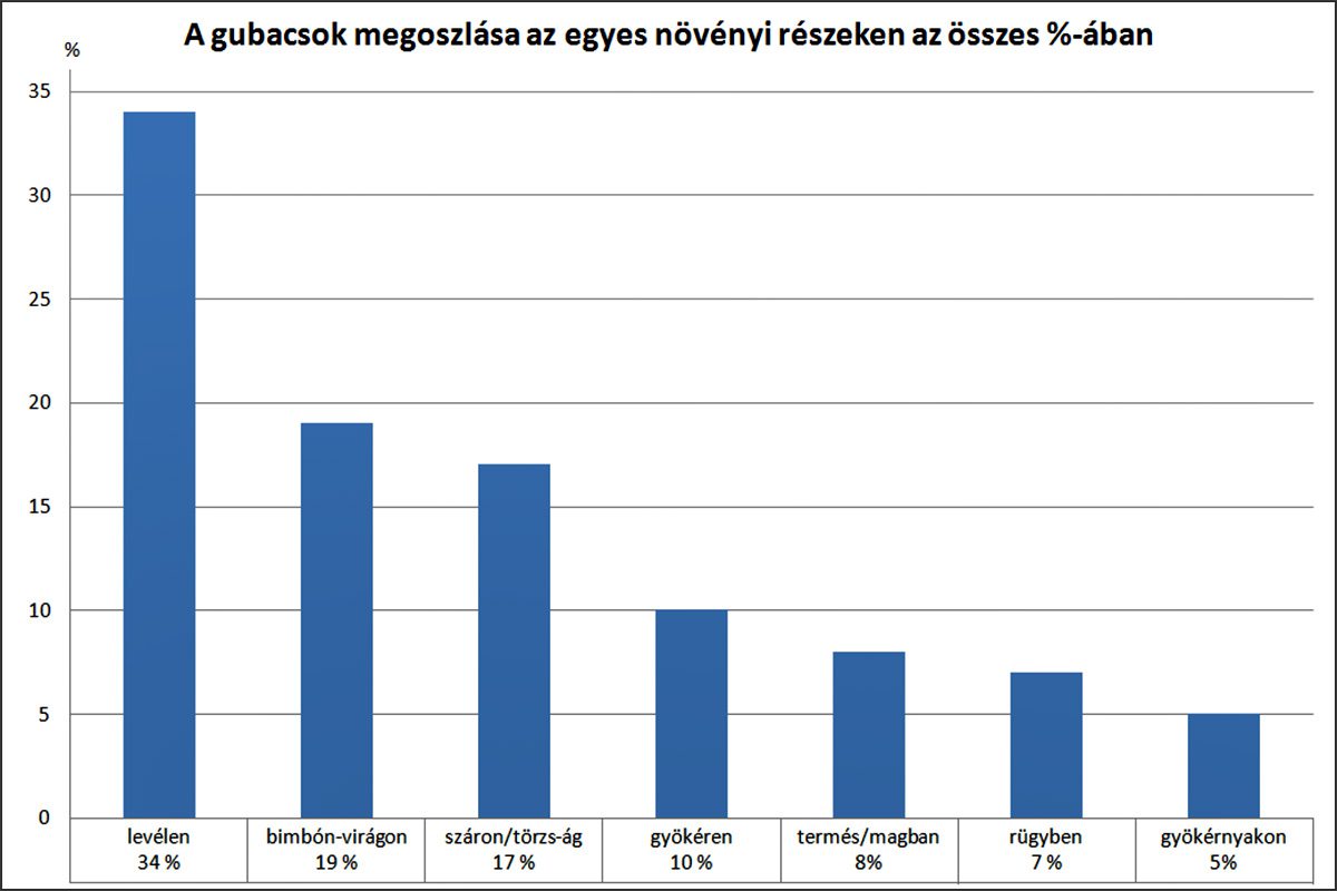 A gubacsok százalékos megoszlása az egyes növényi részeken