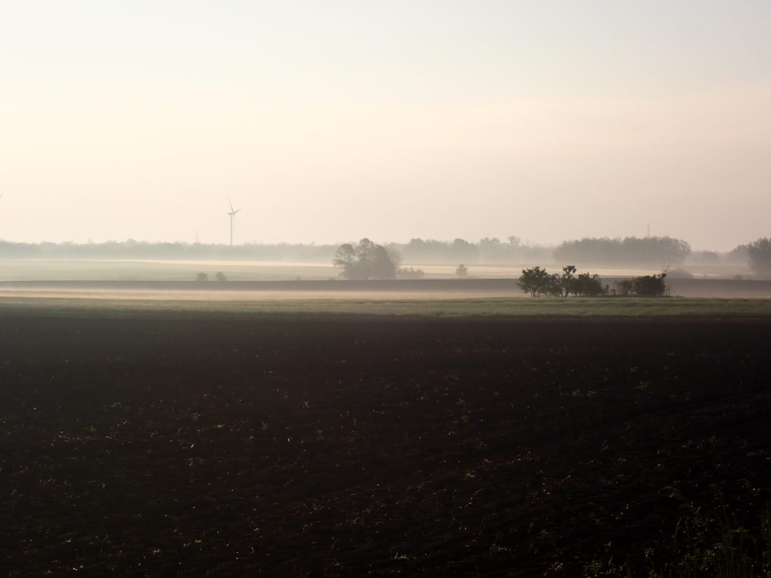 A hajnali pára segíti a fertőzést