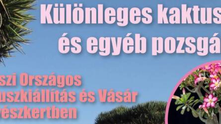 Tavaszi Országos Kaktuszkiállítás és Vásár