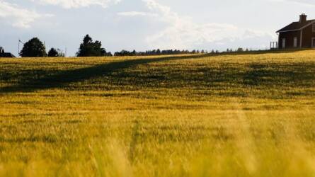 Túl bürokratikus az EU új természet-helyreállítási rendelete
