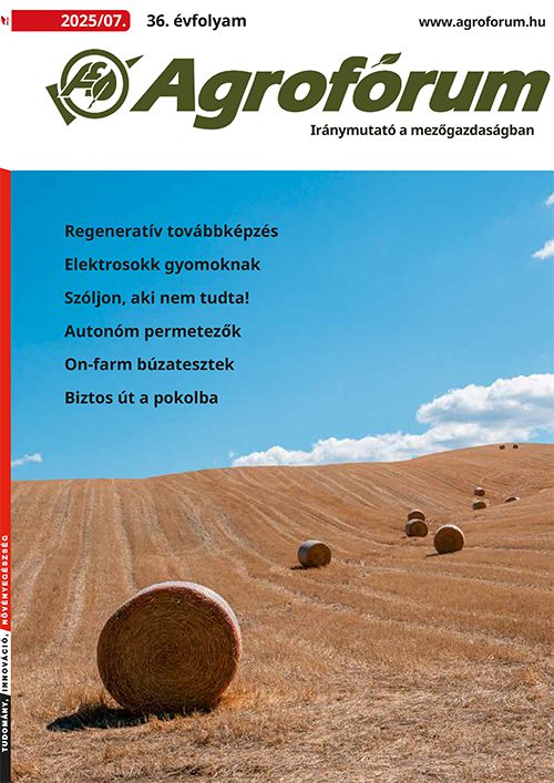 2025. július