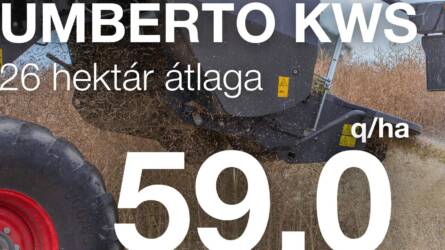Majd a mázsa megmondja!
