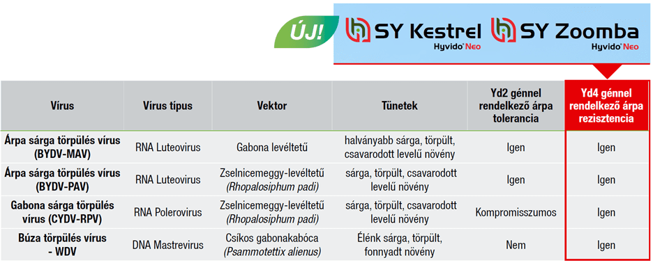 A hazánkban legelterjedtebb és legnagyobb gazdasági kárt okozó vírustörzsek és azokra rezisztenciát mutató Syngenta Hyvido Neo hibrid árpák (Forrás: Syngenta Kft.)