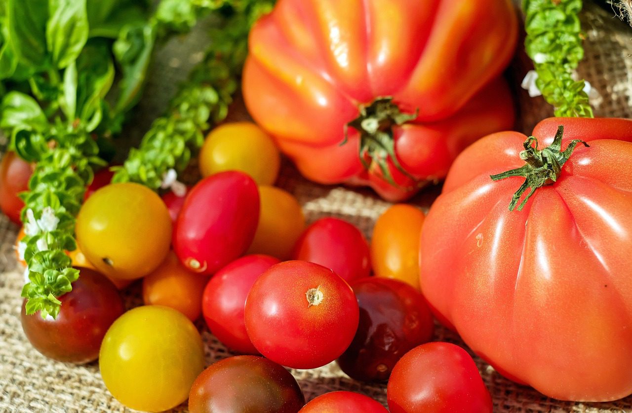 Különböző ízvilágot, antioxidáns-összetételt és gasztronómiai felhasználási lehetőséget kínálnak