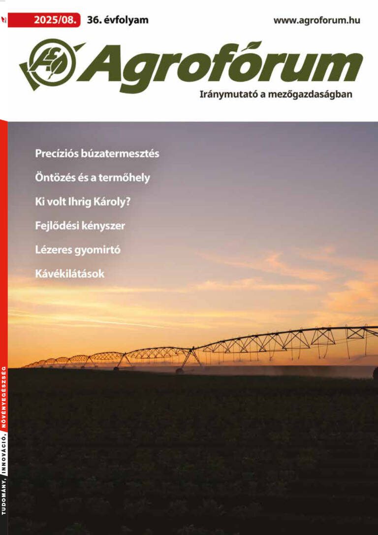 2025. augusztus