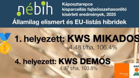 KWS MIKADOS - Bajnoki teljesítmény minden évben, megbízhatóan!