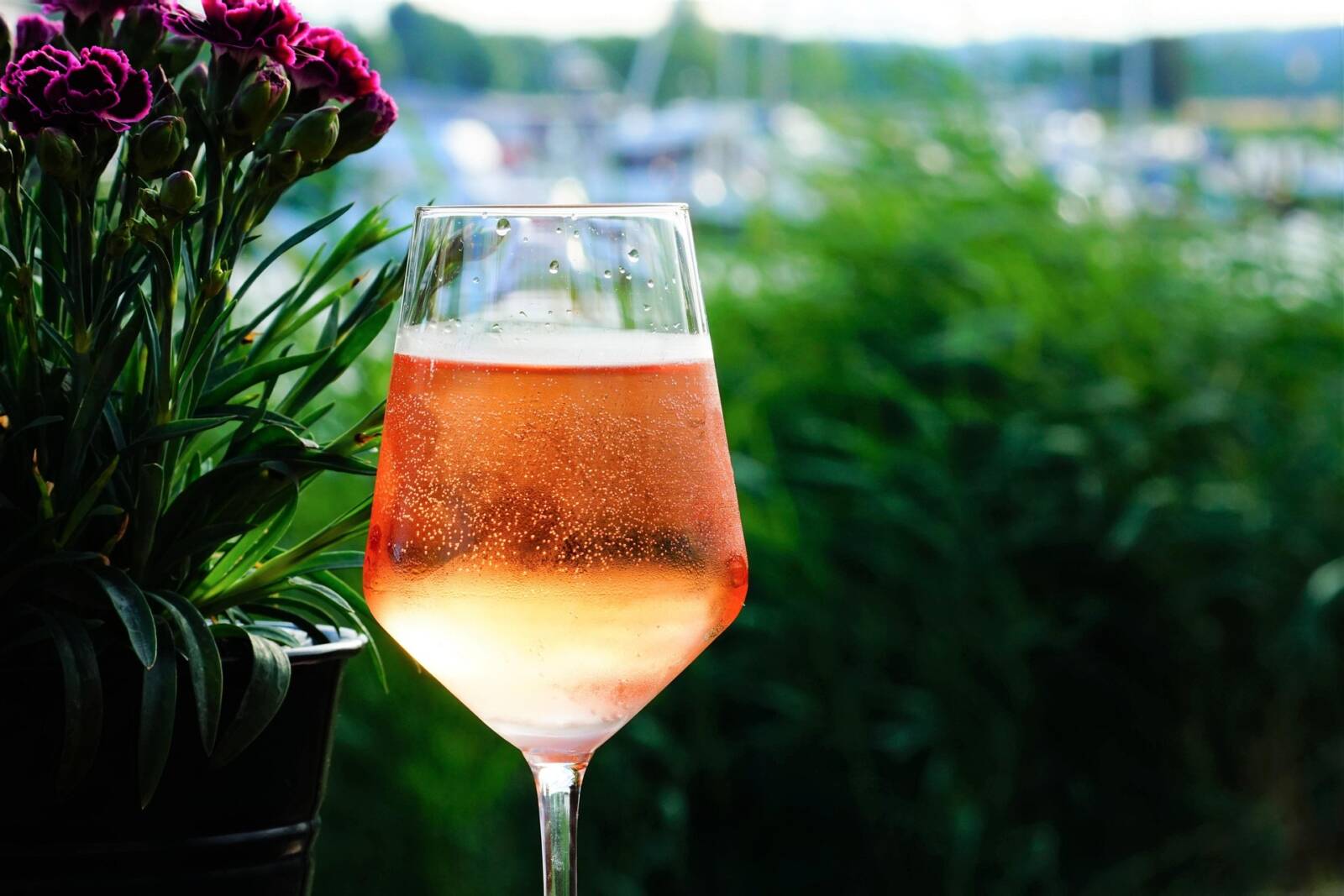Elterjedt szokás, hogy a rosét jéggel kínálják