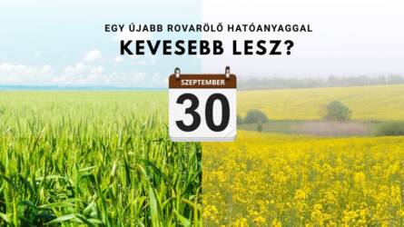 Egy újabb rovarölő hatóanyaggal kevesebb lesz? Most még beszerezheti!