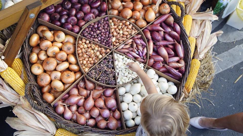 Makói Hagymafesztivál - fotó csodalatosmagyarorszag.hu