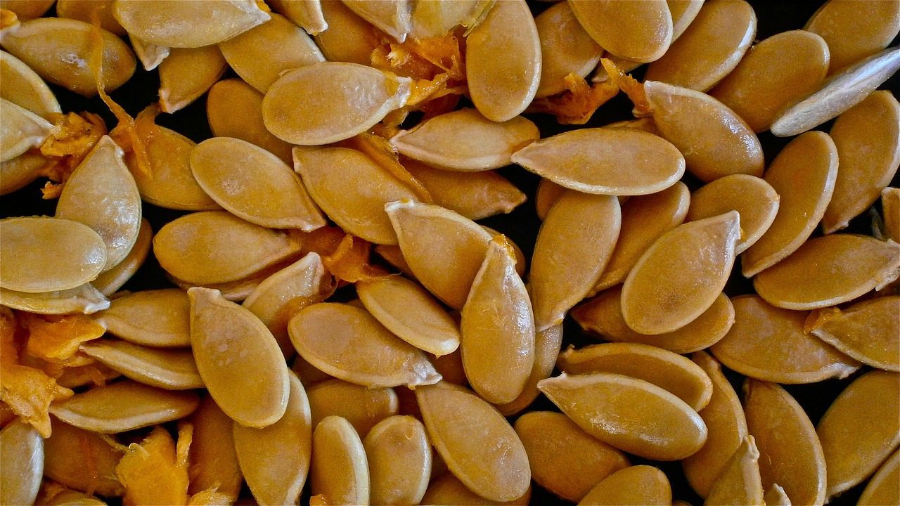 Tökfélék is hatékonyan termeszthetők magról