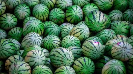Meglepő módszerrel édesítik a dinnyét Kínában