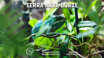 Terra-Akva Börze