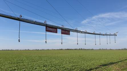 Öntözés nélkül nincs jövő – 10 ok, amiért érdemes beruházni