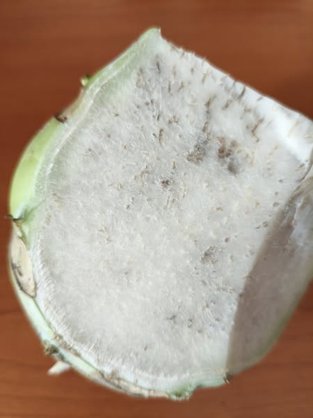 A fás karalábé belseje kemény és egyenetlen