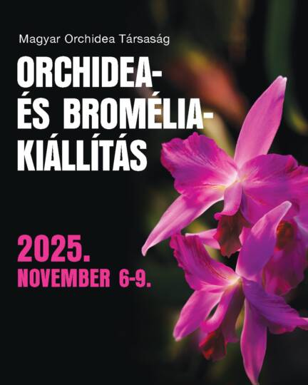 Orchidea és Bromélia Kiállítás