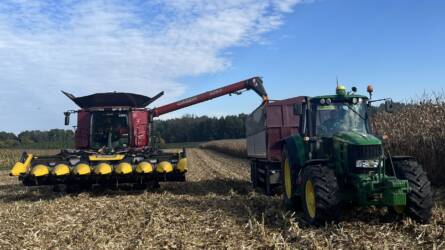 Így termett 18 t/ha kukorica Nagyhalászon