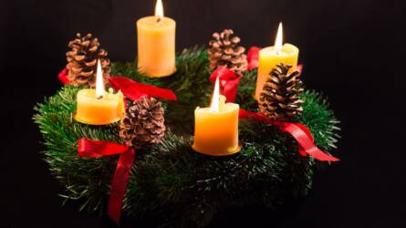 ADVENTI KÉSZÜLŐDÉS A TISZAKÜRTI ARBORÉTUMBAN