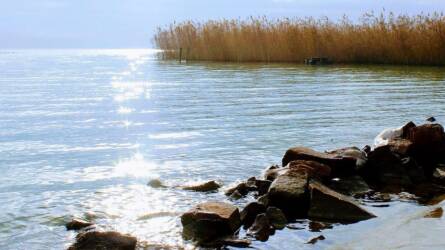 Kombájnok a Balatonban? Furcsa terv született a tó hasznosítására