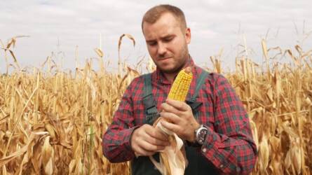 40 milliós támogatást kapnának a fiatal gazdák, de máris óriási a felzúdulás