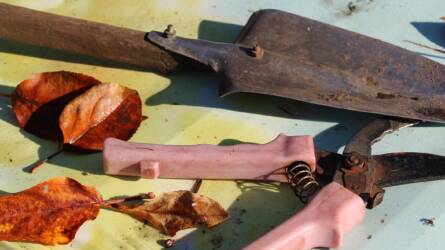 Most vagy soha: így tegye rendbe a kerti eszközeit!